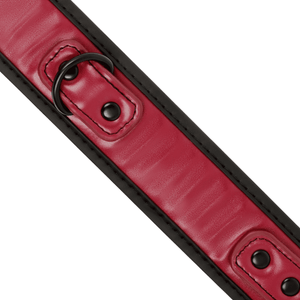 Detail shot of a BDSM collar with leash made from vegan leather in red and black colour