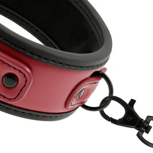 Detail shot of a D-ring on a BDSM collar with leash made from vegan leather in red and black colour